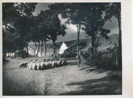 Balogh Rudolf népi témájú fotóinak másolata, hátoldalon feliratozva, 3 db, 18x24 cm