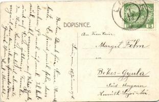 Luze, Namestí, nakl. Fr. Jelinek / main square, Frantisek Jelinek's shop