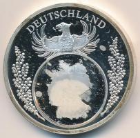 Németország DN "Európai valuták / Németország" ezüstözött Br emlékérem (40mm) T:2 (PP)
Ge...