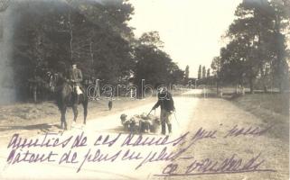 French hunters, hounds, photo