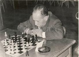 Sakkozó fotója 18x29