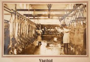 cca 1920-40 dr. Herceg Esterházy Pál Rábaközi Husárugyára, Kapuvár (Sopron vm.), 4db fotó kartonra k...