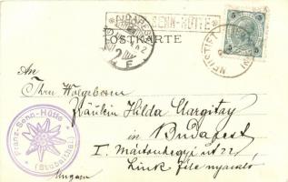 Franz-Senn-Hütte, Stubaital in Tirol / alpine shelter house, floral 'Gruss aus' litho