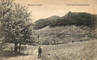 Rezi vára, Balaton-vidék