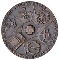 Peternák Gusztáv (1928-) 1986. "Magyar Üzemegészségügyi Tudományos Társaság Budapest / Jubileumi Tudományos Ülés 1946-1986" Br emlékplakett (60mm) T:2,2-