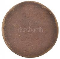 DN "Hajdúszoboszlói Állami Gazdaság 25" Br emlékplakett (70mm) T:2 hátoldalán karc