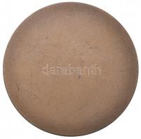 DN "Alkotó Ifjúság Pályázat - FMKT-FAT" Br emlékplakett (70mm) T:2 kis ph