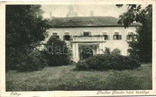 Tállya, Maillot Nándor báró kastélya (fa)