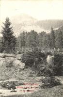 Tátra Barlangliget, Kilátás a zugó forrástól a fai tisztásra; Feitzinger Ede 110.