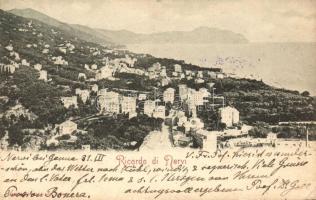 Nervi (EK)