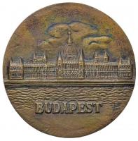 1965. "Budapest / Közalkalmazottak Ülése 1965. Április" Br emlékplakett dísztokban (67mm) T:2