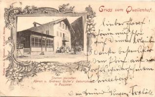 1905 San Martino in Passiria, Quellenhof  (Tirol) Station zwischen Meran un Andreas Hofer's Geburtshaus; Verlag von J. Senoer /  alpine hotel