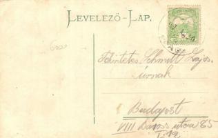 Visegrád, Fő utca felső része, gyógyszertár