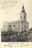 Szatmárhegy, Viile Satu Mare; Evangélikus református templom / church (EK)