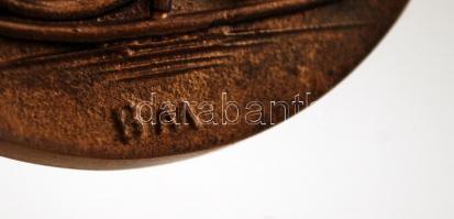 Borsos Miklós(1906-1990) : Fa és papíripari Szövetkezetek Szövetsége, bronz plakett, jelzett, d:8cm ...