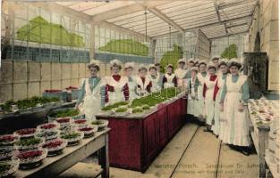 Loschwitz-Weisser Hirsch (Dresden); Dr. med. Lahmann's Sanatorium, Vorrichtung von Kompott und Salat / sanatorium interior, kitchen