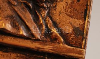 Sz. jelzéssel: Munkácsy Mihály, réz plakett, 10x6cm