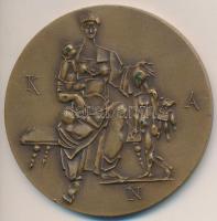 Kiss Nagy András (1930-1997) DN "Semmelweis Ignác 1818-1865" Br emlékérem eredeti "ÁPV" tokban (60mm) T:1