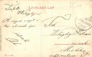 Tiszafüred, Bika szálloda, lovaskocsi, W. L. 2168. kiadja Goldstein Adolf