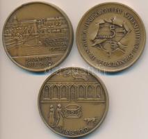 3db klf MÉE emlékérem: Csíkszentmihályi Róbert (1940-) 1972. "MÉE III. Vándorgyűlése Székesfehé...