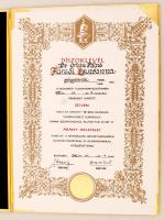 2000 Bp., Arany díszoklevél gyógyszerész számára