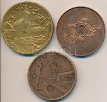 Vegyes:  DN "Az érdem elismeréséül - A "Falu" Országos Szövetség" aranyozott Br ...