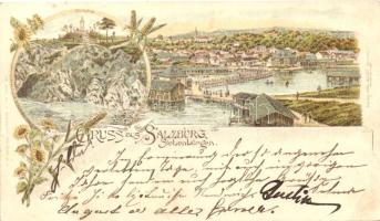 1893 (Vorläufer!) Vízakna, Salzburg, Ocna Sibiului; emlékmű, látkép / memorial, general view, sunflower, corn; Art Nouveau, litho, floral (EB)