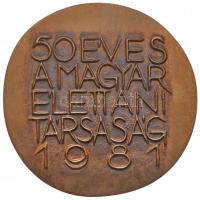 1970. "Villamos Berendezés és Készülék Művek - felszabadulásunk 25. évfordulójára" Br plak...