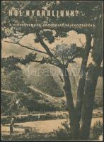 cca 1970-80 Hol nyaraljunk? A fizetővendég-szolgálat tájékoztatója, fotókkal illusztrált nyomtatvány, pp.:62cm, 28x20cm