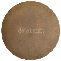 1926. "Nemzetközi Embervédelmi Kiállítás Budapest" Br emlékérem (60mm) T:2