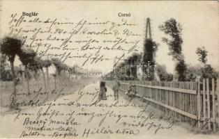 Balatonboglár Corso (fa)