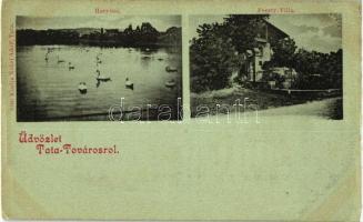 Tata-Tóváros, Hattyú-tó, Feszty villa, kiadja Nobel Adolf (EK)