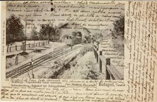 Budapest XII. fogaskerekű vá.