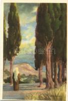 15 db RÉGI, a Szentföldet ábrázoló képeslap, 14 db megíratlan lappal, két másodpéldánnyal, Hollós En...