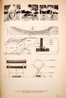 Dr. Nagy Emil: A fácán és vadászata. Bp., 1984, Mezőgazdasági Kiadó. Kiadói egészvászon kötés, papír...