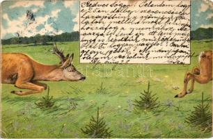 12 db RÉGI motívum képeslap, főleg vadászattal, vadakkal kapcsolatos lapok, vegyes minőség / 12 old ...