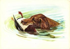 47 db MODERN, színes, nagyrészt megíratlan állat motívumos képeslap / 47 modern, color, mainly unuse...