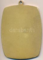 1962. "64. Országos Mezőgazdasági Kiállítás és Vásár" aranyozott Br plakett (80x61mm)  T:2