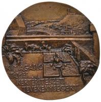 Csíkszentmihályi Róbert (1940-) 1979. "Ormos Imre 1903-1979" Br emlékérem (97mm) T:2