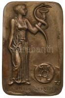 Tóth Sándor (1933-) DN "Magyar Általános Orvosok Dél-Alföldi Szervezete" Br plakett (103,5x68,5mm) T:2