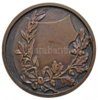 1915. "ISTE - Győztesnek" Br emlékérem. Szign.: Csillag T. (30mm) T:2