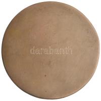 Bobály Attila (1948-) 2002. "Balassa Iván - Emlékérem 1917-2002" Br emlékplakett (100mm) T...