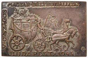 Cziglényi Ádám (1909-1998) 1948. "V. Országos Magyar Bélyegkiállítás Budapest 1948" ezüstözött Br plakett (95x60mm) T:2