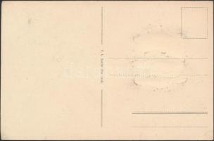 Munkács, dombornyomott irredenta képeslap; Fémplakett szab. felelős kiadó Szeiler József / golden Em...