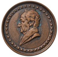 DN "Johann Wolfgang von Goethe" Br plakett (56mm) T:2 ND "Johann Wolfgang von Goethe" Br plaque (56mm) C:XF