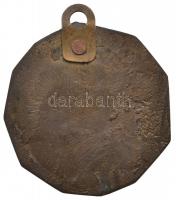 Renner Kálmán (1927-1994) 1969. "Kutyakiállítás Sopron" Br plakett (74-78mm) T:2