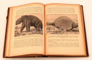 Dr. Ballagi Aladár (szerk.): Tolnai Világtörténelme I-XX. kötet, Bp., 1926-1931, Tolnai Nyomdaműinté...