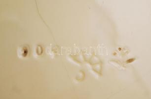 Körmöcbányai szecessziós dísztányér, kézzel festett, több mázhibával, hajszálrepedéssel, d:17,5 cm