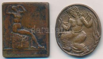 DN 2db feltehetően bordélyházban használt bárca T:2-