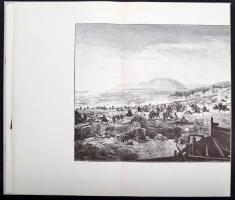 Szűcs Árpád: A magyarok bejövetele. Feszty Árpád körképe. Bp., [1989], Háttér Kft. A körkép kihajtha...